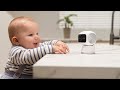 Anker eufy Security Indoor Cam S350 Gece Görüşlü 360 ̊ 4K IP Kamera