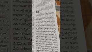 Genesis.       15.          16        Telugu