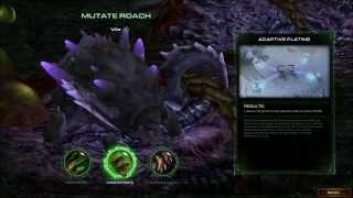 Starcraft 2 Heart of the Swarm - Evolution Pit Mutations & Evolution Mission Evolutions