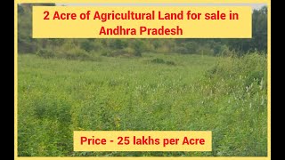 Andhra Pradesh : 2 Acre of Agricultural Land for sale located at Hussaina Puram, Kurnool District