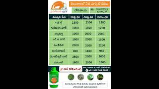 jhk Market rates | Today Cucumber \u0026 Drumstick market prices in Telangana markets | @JaiHoKisan    ​