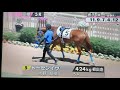 2020.6.21　函館競馬　メイクデビュー　パドック