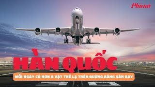 Mỗi ngày, phát hiện hơn 6 vật thể lạ trên đường băng sân bay ở Hàn Quốc | Báo Phụ Nữ