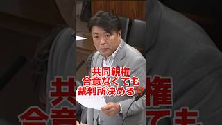 【共同親権】父母の合意できない場合は裁判所が決める⁉️ 合意なき共同親権は危険　仁比聡平参議院議員質疑　#共同親権 #離婚　#博多大吉