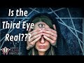 Is the Pineal Gland REALLY the Third Eye??? | Pineal Gland Anatomy