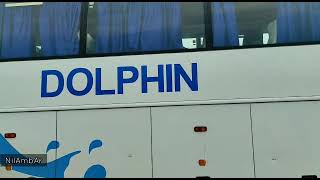 dolphin Volvo multi axle bus #shorts