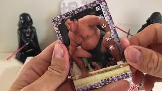 2018 BBM Sumo Card Break