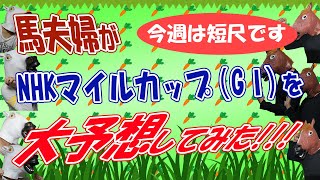 【競馬予想】(G1)ＮＨＫマイルカップ2022～馬夫婦が競馬予想～目指せテーマパーク