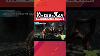 【PS5おすすめソフト】迷ったらこれを買え！神ゲーオープンワールド作品１0選!!スカイリム