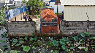 First Starting A New Project! Filling Land By Dump Truck Unloading soil with Komat'Su D31PX Dozer