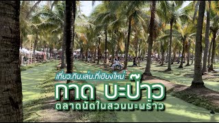 [Vlog เชียงใหม่] กาดบะป๊าว ตลาดนัดบรรยากาศร่มรื่นในสวนมะพร้าว