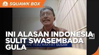 Terkendala Hal Ini, Indonesia Sulit Capai Swasembada Gula