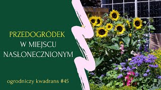 Ogrodniczy Kwadrans #45. Przedogródek w miejscu nasłonecznionym.