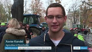 Strasbourg : la FDSEA appelle les agriculteurs à manifester