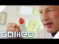 Do it yourself: Süßigkeiten backen | Galileo | ProSieben