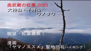 「奥武蔵の紅葉２０２３」大持山・小持山　ウノタワ眺望最高！　　漫画「ヤマノススメ」聖地巡礼ハイキング（2023.11.12）