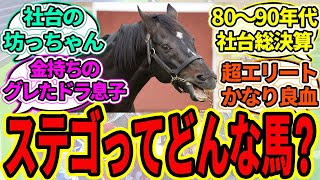 『ステイゴールドに持ってるイメージ』に対するみんなの反応【ウマ娘プリティーダービー 競馬の反応集】