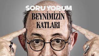 SoruYorum - Beynimizin Katları