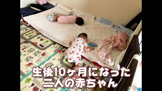 【男女ふたごの赤ちゃん】生後10ヶ月・二人の様子とちょっとした悩み【育児Vlog】