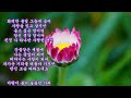 박윤경 부초 kpop 韓國歌謠