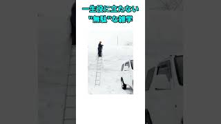 [人生の無駄] 絶対見ないで！！役に立たない雑学3選