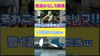 【雪だるま？】雪ではしゃいだ人が本気でやばいものを作った結果ｗｗこんなの道で見かけたら笑うにきまってんだろ！！#shorts