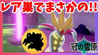 【ポケモンソードシールド】レア巣で伝説ポケモンが大量！？久しぶりのあのポケモン！冠の雪原【エキスパンションパス】