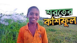 শরতের কাশফুলে ভরে উঠেছে চুয়াডাঙ্গার গ্রাম | দুরন্ত শৈশব | Ashraf Ahamed Vlogs | Chuadanga |