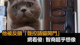 別人家的貓！他被反鎖「聲控請貓開門」　網看傻：智商超乎想像－民視新聞