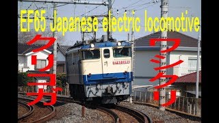 東北本線を走る電気機関車EF65 Japanese electric locomotive EF65 at Tohoku-Line