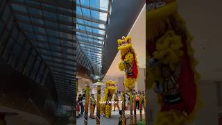 CNY 2025 Acrobatic Lion Dance #acrobaticliondance #liondance #barongsai #mualan #舞狮 #chinesenewyear