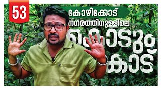 😱കോഴിക്കോട് നഗരത്തിനുള്ളിൽ കൊടുങ്കാട് | FOREST @ KOZHIKODE ©BeyporeSultan Vlog 053