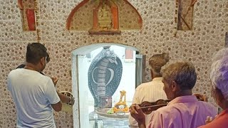 Daily Aarti Shri Jageshwar Dham Mandir | Shiv Kripa Shivli