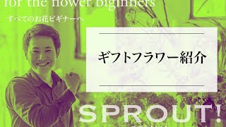 【SPROUT】ギフト紹介！