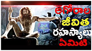 అగోర ల జీవన శైలి... untold story about agori...agora food. aghori sadhus documentary