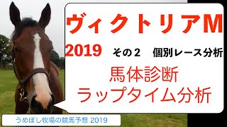 【ヴィクトリアマイル】競馬予想 2019 その２ 個別レース分析 ～馬体診断、ラップタイム分析～