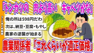 【2chまとめ】スーパー「トンカツの　肉より高い　キャベツかな」農業関係者「これくらいが適正価格」【ゆっくり】