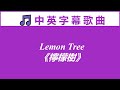 ♫ 英文歌曲 《檸檬樹》 Lemon Tree