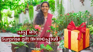 പപ്പ ഒരു surprise gift തന്നപ്പോൾ | minis life style