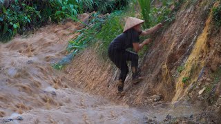 Harvesting the upland melon garden to the market sell, Making a barn, Heavy rainstorm - landslide