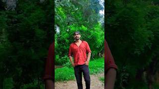 Aisa Deewana Lyrical Video Song | Dil Maange More | Sonu Nigam | Shahid Kapoor, Tulip Joshi #shorts