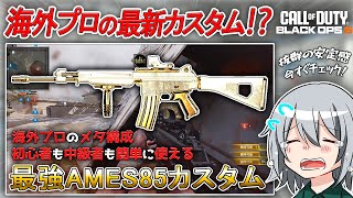 〖COD:BO6〗海外プロが使う最新カスタム！「5分間」で「最強AMES85カスタム」をサクッと紹介！誰でも使える海外プロのメタ構成とは！？