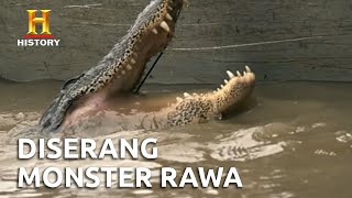 Berburu Aligator Besar dengan Senapan | Swamp People (S12)