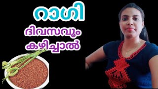 റാഗി ദിവസവും കഴിച്ചാൽ||Ragi In Malayalam||@HealthiesBeauties