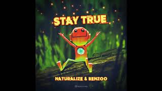 Naturalize \u0026 Benzoo - Just Don't - Official