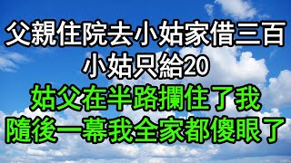 父親住院去小姑家借三百，小姑只給20，姑父在半路攔住了我，隨後一幕我全家都傻眼了#深夜淺讀 #為人處世 #生活經驗 #情感故事