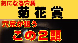 【菊花賞2022 気になる馬】過去の実績から見えた長距離戦に適した馬とは