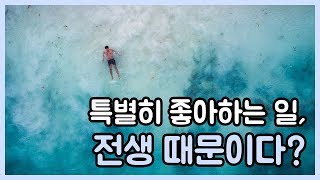 시몬쌤 - 특별히 좋아하는 일, 전생 때문이다?