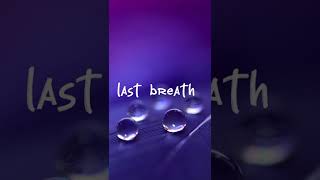 Rachel lorin- last breath (lyrics)