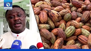 Cross River Aims To End Export Of Raw Cocoa With New Chocolate Factory